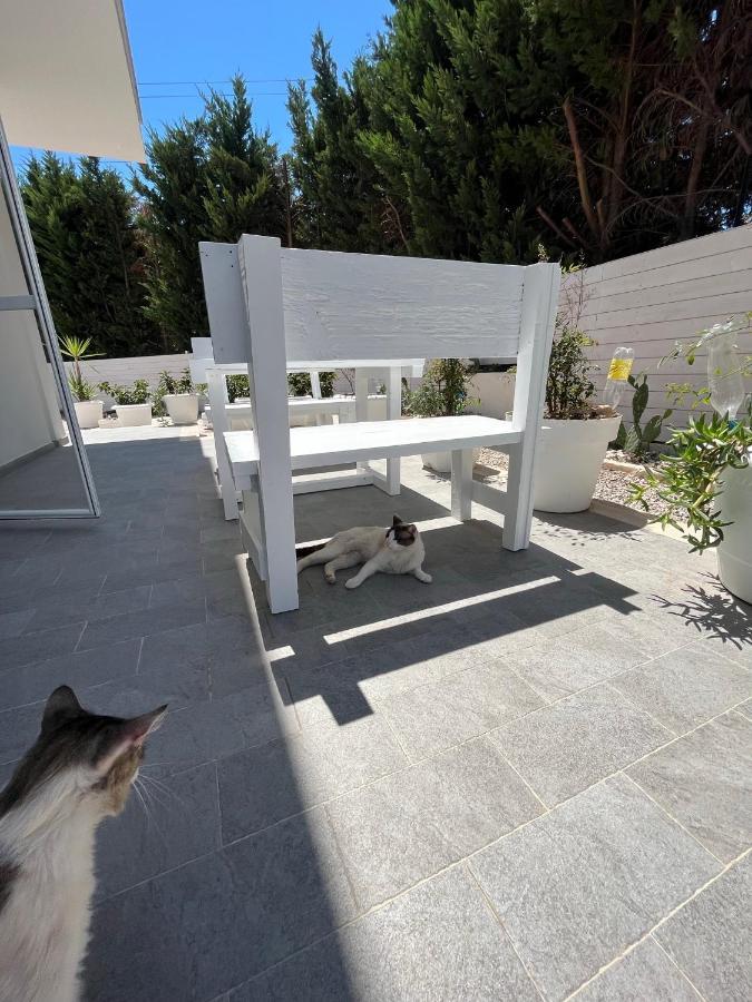 La Casa Di Nina Bed & Breakfast Lecce Exterior photo